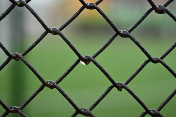 Fototapeta premium green mesh fence on the background of green nature, iron fence mesh close up, blurred city, city fences concept