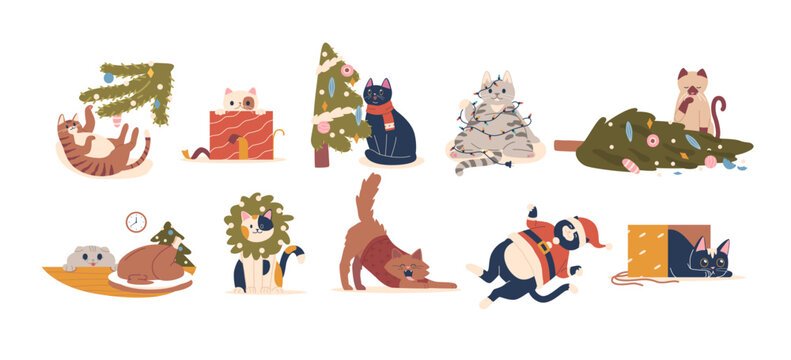 Christmas Cats Prance Amidst Twinkling Lights And Holiday Trees, Wearing Santa Hats And Sharing Warmth