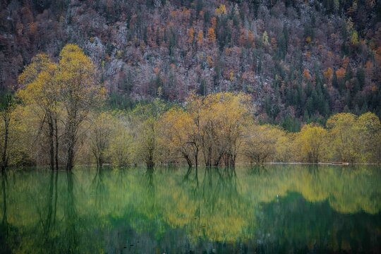 Gletscherseen in den Julischen Alpen, umgeben von dichtem Wald und alpiner Sch&ouml;nheit