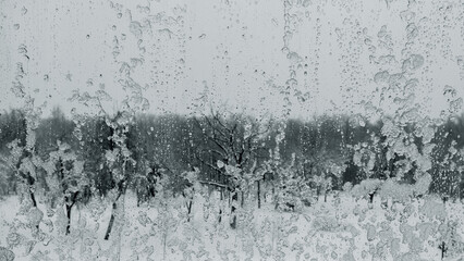 Winter snow-covered window close-up in cloudy weather.