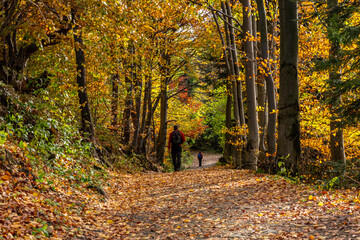 Turyści na szlaku, Las, Jesień, Beskid Śądecki, Tylmano