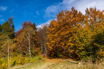 Jesień na szlaku Beskidy