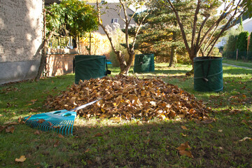 a pile of leaves with a rake and three leaf bags in the garden