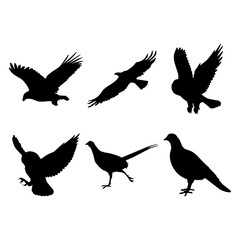 Flying bird silhouette set design inspiration vector illustration.