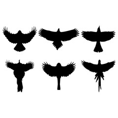 Flying bird silhouette set design inspiration vector illustration.
