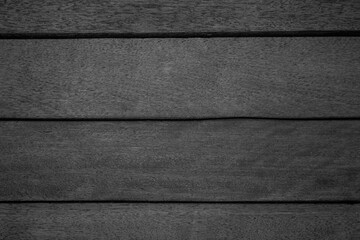 black and white tree wood background and texture