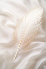 Closeup of a white feather over a white sheet