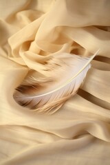 Closeup of a white and brown feather over a sheet