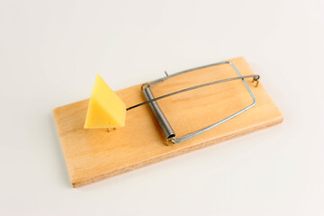 A piece of cheese is placed in the mousetrap. Financial trap concept.