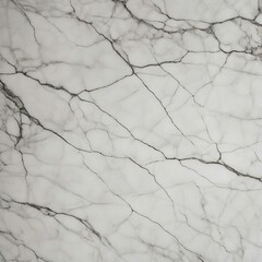 cracked ground texture  A white marble texture with veins and cracks 