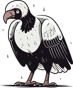 recommend clip art: Vulture. Vector illustration of a vulture on a white background.