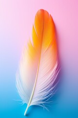 Closeup of a colorful feather