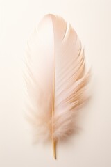 Closeup of a pale pink feather