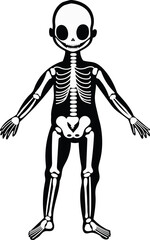 Skeleton, educational anatomy illustration for kids. Cute cartoon little human isolated vector on white background.