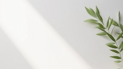 clean white background for product shots, plant in background, minimalist, room for text, perfect for product mockups and beauty
