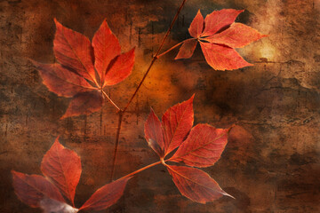 Jesienny pejzaż. Czerwone jesienne liście na drzewach - obrazy, fototapety, plakaty