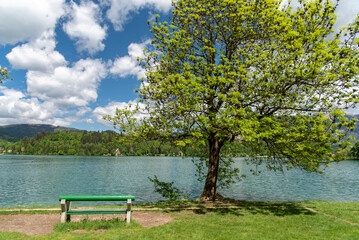 Lake Bled in summer, Slovenia