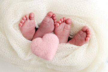 Feet of newborn twins. Two pairs of baby feet in a white knitted blanket. Pink knitted heart. Close up - toes, heels and feet of a newborn. Newborn brothers, sisters. Studio macro photography. 