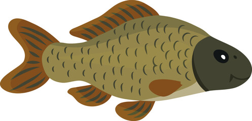Carp fish, isolated on a white background. Color cartoon vector illustration for children.