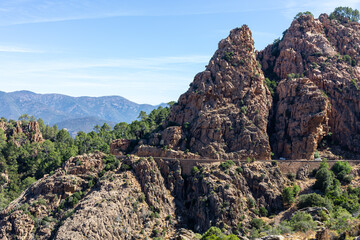 Formaciones Rocosas y Bosque: Paisaje Natural en Montañas