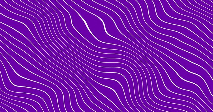 Abstract thin white color wavy line over purple color background. wavy lines flowing grey white background seamless loop. flat animated motion graphic background.