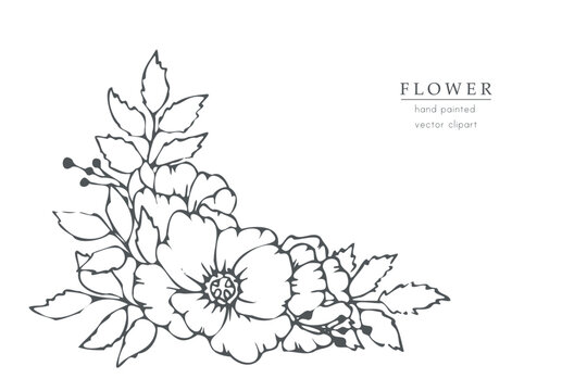 Collection of hand drawn spring flowers and plants. Monochrome vector illustrations in sketch style.	
