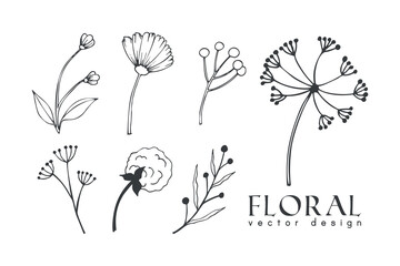 Collection of hand drawn spring flowers and plants. Monochrome vector illustrations in sketch style.	
