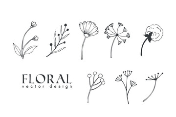 Collection of hand drawn spring flowers and plants. Monochrome vector illustrations in sketch style.	
