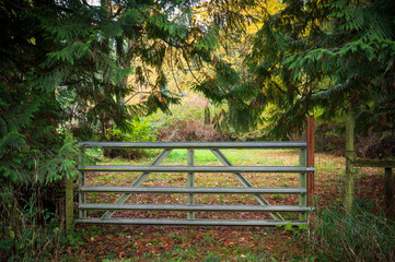 Farm gate leading to pastureland during the fall season with colorful autumn foliage. Red and yellow leaves signal the oncoming winter season in this classic country scene.