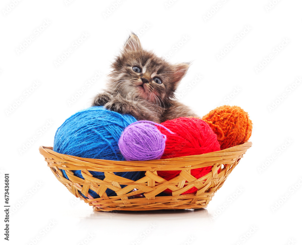 Sticker Kitten with balls of yarn in the basket.