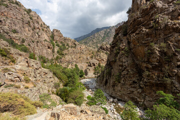 desfiladero por donde pasa un río con rocas a los lado y vegetación