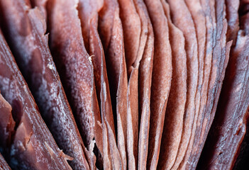 textura rugosa de una seta rojiza