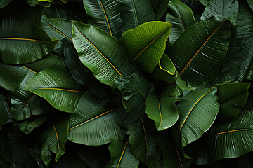 Obraz premium A close up of a bunch of green tropical exotic leaves.
