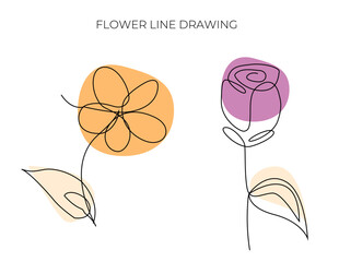 Flower line drawing