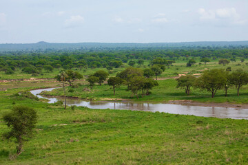 beautiful wild African landscape with rive