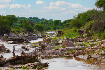 beautiful wild African landscape with rive