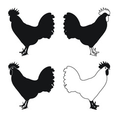 Сock, cockerel, rooster, chicken, hen, chick, position standing, poultry silhouette hand drawn
