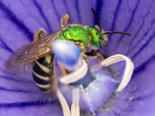 Macro Musings