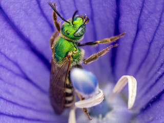 Macro Musings