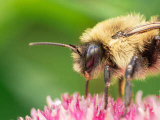 Macro Musings