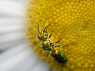 Macro Musings