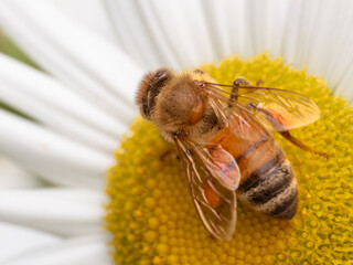 Macro Musings