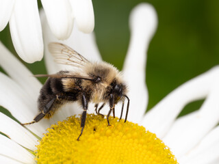 Macro Musings