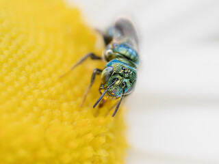 Macro Musings