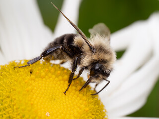 Macro Musings