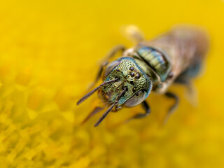 Macro Musings