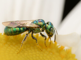 Macro Musings