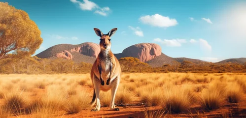 Fototapete Cape Le Grand National Park, Westaustralien Kangaroo at Australia's deserts. Concept for Australia day