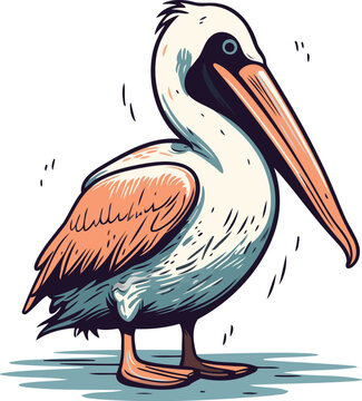 recommend clip art: Pelican vector illustration. Hand drawn pelican isolated on white background.