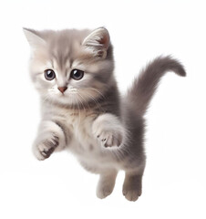 Obraz premium Jumping kitten, caught mid leap in the air, isolated on white background